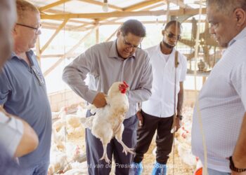 KP 0632 De directie van Hilly's Chicks & Hilly's Farm N.V. heeft vrijdag 5 april 2024 in aanwezigheid van president Chandrikapersad Santokhi de nieuwe Broeder-ei productie Farm officieel geopend op de Staatsboerderij in het Reebergproject.