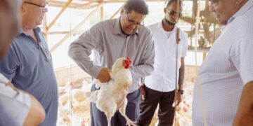 KP 0632 De directie van Hilly's Chicks & Hilly's Farm N.V. heeft vrijdag 5 april 2024 in aanwezigheid van president Chandrikapersad Santokhi de nieuwe Broeder-ei productie Farm officieel geopend op de Staatsboerderij in het Reebergproject.