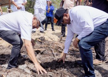 KP 4063 Het ministerie van Landbouw, Veeteelt en Visserij (LVV) is in februari van dit jaar gestart met werkzaamheden in Coronie en zes maanden geleden in Wageningen, Nickerie. In Coronie vindt ontginning van grond plaats ten behoeve van de agrarische sector, terwijl in Wageningen grond specifiek wordt bewerkt ter ondersteuning van de rijstproductie.