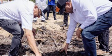 KP 4063 Het ministerie van Landbouw, Veeteelt en Visserij (LVV) is in februari van dit jaar gestart met werkzaamheden in Coronie en zes maanden geleden in Wageningen, Nickerie. In Coronie vindt ontginning van grond plaats ten behoeve van de agrarische sector, terwijl in Wageningen grond specifiek wordt bewerkt ter ondersteuning van de rijstproductie.