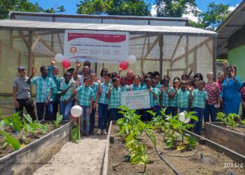 LVV 1 2 Het ministerie van Landbouw, Veeteelt en Visserij (LVV) is de hoofduitvoerder van het project in Suriname en werkt samen met het ministerie van Onderwijs, Wetenschap en Cultuur om de schooltuinen te realiseren. De schooltuinen zijn voorzien van organisch plantmateriaal, hydroponic systemen en raised beds.