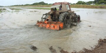 LVV demonstratie landbouwfrees 4 De presidentiële taskforce Agricultuur Suriname zegt dat zij zullen streven naar importvervanging. Dit betekent dat zij zich vooral zullen richten op lokaal geproduceerde landbouwproducten. Door deze stappen te nemen streeft de taskforce ernaar om de voedselimporten met 25 procent te doen dalen voor 2025.