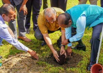 LVV3 In de tuin van het ministerie van Landbouw, Veeteelt en Visserij (LVV) is een bijzondere boom geplant, het gaat om de kostbare Sandelhoutplant. Dit gebeurde op maandag 19 juni 2023 door de Indiase ambassadeur Shankar Balachandran en LVV-minister Parmanand Sewdien.