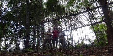 Lokeo Tan Bun Skrati 1 Stichting Landbouw Ontwikkeling Klaaskreek en Omgeving (LOKEO) buigt zich over de ontwikkeling van het gebied ten westen van Klaaskreek. Sinds 2013 is de organisatie actief bezig met werkzaamheden in het gebied, zoals het aanleggen van de infrastructuur en het opzetten van proeftuinen.
