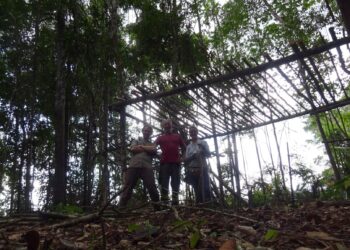 Ontwikkeling Cacao sector in West-Klaaskreek door Tan Bun Skrati N.V. en Stichting LOKEO