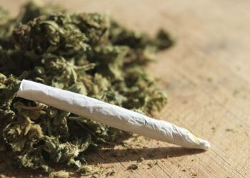 Marijuana joint De 46-jarige drugs verkoopster Z.L. en drugs koper S.N. (47) zijn op maandag 9 oktober 2023 na bekomen informatie, bij een drugsinval te Nieuw-Amsterdam in het district Commewijne door de stootgroep van Regio Oost aangehouden.