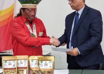 Overeenkomst stichting Tuhka met SLM Zij hebben op 25 mei een partnerschap getekend met SLM om de Tuhka noten, of ook wel de Brazil Nuts beschikbaar te stellen voor de passagiers op de route Paramaribo Amsterdam. De ondertekening heeft plaatsgevonden tussen de kapitein van Alalapadu, Janinipuung Morishi en de waarnemend directeur van SLM Steven Gonesh.