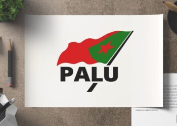 PALU: Weet u al voldoende over het nieuwe kiesstelsel?