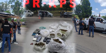 Drugsverdachte aangehouden door politie Albina, gemengd team Regio Oost houdt verkeerscontrole