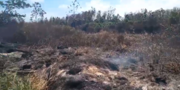 Screenshot 2024 02 21 092334 2 "Het is niet te doen en zeker niet goed voor de kinderen", zegt Tony Maclon, die bewoner is van Wageningen. Al langer dan drie weken heeft het district last van bosbranden die op hun beurt zorgen voor rookoverlast.