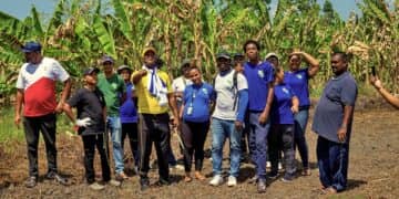 Sportzaken Commewijne 002 De afdeling Sportzaken Commewijne, ressorterend onder het ministerie van Regionale Ontwikkeling en Sport (ROS) heeft een vliegerwedstrijd georganiseerd.