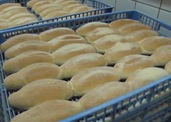 WhatsApp Image 2022 08 29 at 9.24.40 AM “We hebben geen andere keus dan ook de prijzen van brood aan te passen”, zegt voorzitter Gretl Wolfram van de Winkeliers- en Ondernemersvereniging Suriname.