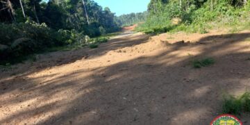 Twee illegale landingsbanen onklaar gemaakt