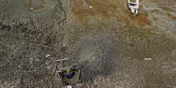 WhatsApp Image 2024 02 01 at 4.42.14 PM 1 Het regenwoud in de Amazone wordt geconfronteerd met een buitengewone droogte die al sinds halverwege vorig jaar aanhoudt.  Er is weinig neerslag en de temperaturen liggen al een jaar lang boven het normale niveau. Onderzoek waar onder andere internationale experts aan hebben bijgedragen, waarschuwt dat de belangrijkste oorzaak van deze droogte het gevolg is van mondiale opwarming.