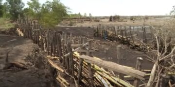 Dambreuk Weg naar Zee brengt grote verliezen voor landbouwers