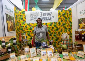 WhatsApp Image 2024 06 17 at 11.34.05 1 Om Surinaamse producten een betere positie op de handelsmarkt te geven, organiseerde het Suriname Agriculture Market Access Project (SAMAP) een landbouwtentoonstelling en beurs. Dit gebeurde in samenwerking met het Ministerie van Landbouw, Veeteelt en Visserij(LVV). De beurs was ook bedoeld om de netwerkvorming van Surinaamse ondernemers te ondersteunen. In het Live Entertainment Center vond op vrijdag 14 juni 2024 de opening van de tweedaagse beurs plaats.