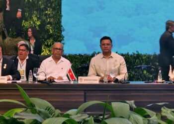 bibis rom Deze ACTO Summit is namens President Chandrikapersad Santokhi bijgewoond door de minister van Buitenlandse Zaken, International Business en Internationale Samenwerking, Albert Ramdin en minister van Ruimtelijke Ordening en Milieu, Marciano Dasai. Hieraan hebben presidenten en officiële regeringsvertegenwoordigers van alle acht lidlanden (Brazilië, Bolivia, Colombia, Ecuador, Guyana, Peru, Suriname en Venezuela) deelgenomen.