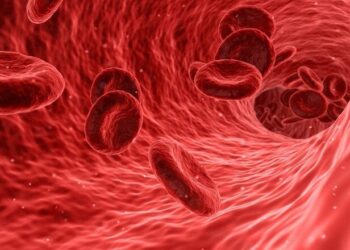 blood 1813410 1280 De Surinaamse Stichting voor Hemofilie Patiënten heeft in samenwerking met het Academisch Ziekenhuis Paramaribo twee gespecialiseerde hemofilie-verpleegkundigen opgeleid. Deze verpleegkundigen kunnen in samenwerking met de hemofilie-arts van het AZP gespecialiseerde zorg geven aan patiënten met hemofilie.