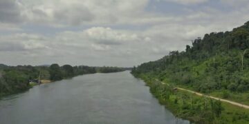bos 2 Presidentieel adviseur voor klimaat en biodiversiteit John Goedschalk blijft ondanks toenemende uitdagingen optimistisch over de toekomst van de natuurbescherming in Suriname. Volgens hem zal het langer duren om de bossen duurzaam te beschermen, onder meer door weerstand vanuit verschillende belangengroepen, maar is het doel nog altijd haalbaar.