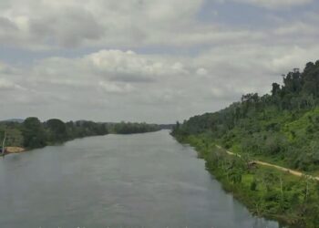 bos Koolstofkredieten zijn dus een handig middel om het milieu wereldwijd te beschermen, maar hoe beschermt Suriname als bosrijkste land ter wereld haar milieu, terwijl er tegelijkertijd een verdienmodel moet worden gecreëerd?