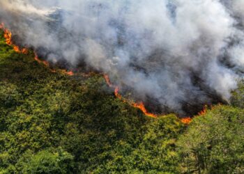 bosbrand keynews antondrachtenweg 0305 Het Korps Brandweer Suriname (KBS) blijft zich inspannen voor de brandveiligheid in Suriname. KBS-voorlichter tevens adjunct-hoofdbrandmeester Olton Pinas roept de gemeenschap op om informatie en tips van de brandweer ter harte te nemen.