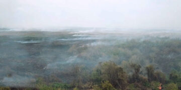 coronie brand 1 Er is de afgelopen dagen wederom een toename aan grasbranden te merken. "Vanwege de droogte nemen de grasbranden toe", zegt brandweervoorlichter Olton Pinas.