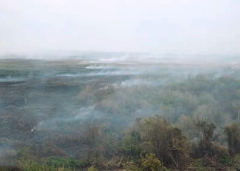 coronie brand 4 “We kunnen heel weinig doen tegen de bosbranden. Met deze enorme droogte en hitte kan het kleinste vonkje resulteren in een bosbrand. Omdat de plekken in afgelegen gebieden liggen, is het moeilijk om daar te komen en de branden te blussen”, zei minister Albert Ramdin van Buitenlandse Zaken woensdag tijdens een persconferentie.