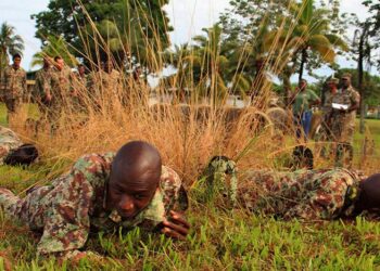 Jungletraining Nederlandse en Amerikaanse militairen volgend jaar in Suriname