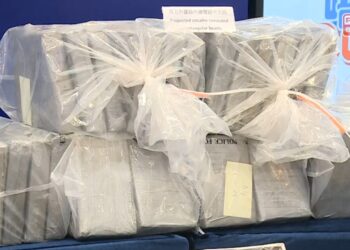 225 kilo coke ter waarde van Euro 24 miljoen uit Suriname onderschept in China