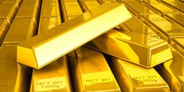 goudstaven 1 De geschiedenis kan ons vertellen hoe de toekomst er uitziet als de samenleving kennis draagt van de wijze waarop we onze uitputbare rijkdommen aan hout, goud en vis verkwanselen. Meer dan 20 jaar geleden schreef ik “de roof van eldorado”, welke gepubliceerd is in de ware tijd. In dat artikel en daaropvolgende artikelen heb ik aangetoond dat CAMBIOR met slechts 8 miljoen USD aan aandelenkapitaal haast 100% zeggenschap wist te verkrijgen over Gross Rosebel.