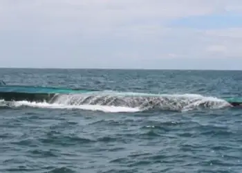 half duikboot cocaine Colombia Armada020921 De Colombiaanse marine heeft, naar eigen zeggen, in de Stille Oceaan de grootste narco-onderzeeër ooit onderschept. Het gaat om een half afzinkbaar vaartuig van zo’n 30 meter lang en 3 meter breed. Aan boord lag drie ton cocaïne. Drie Colombiaanse bemanningsleden zijn opgepakt. Dit meldt Crimesite.nl.