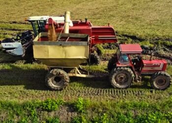 inzaai web “De boeren hebben wel minder ingezaaid en ook het onderhoud vindt niet optimaal plaats, waardoor er minder padie geoogst zal worden”, zegt secretaris Bhagwatpersad Ramadhin van de Surinaamse Padieboeren Associatie (SPBA). Hij meent dat momenteel alle pompen van pompgemaal Wageningen defect zijn, waardoor de boeren extra in de kosten gejaagd worden.