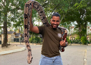 Forest 93-ambassadeur Veira brengt wildlife Suriname realistisch in beeld