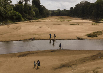 kabalebo climate 1 Al lopend op de rivierbedding van de Kabaleborivier komt de geur van dode  vissen je tegemoet. Ook de afgesloten waterplassen die vol leven zitten, kunnen gevaarlijk zijn want de roggen hebben geen andere uitweg. Zo af en toe kom je ook de karkassen van dode roggen tegen die door een roofvogel zijn leeg gepikt.