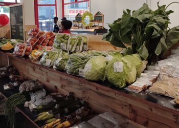 landbouw winkel groente 3 Volgens Wolfram hadden de winkeliers dit verwacht. "Het is verwachtbaar dat de gezinnen van de winkeliers een sobere kerst tegemoet gaan. Door een sterk afgenomen koopkracht, die te wijten is aan de huidige economische situatie in ons land zijn de winkeliers alsook andere ondernemers niet in een hoerastemming", merkt Wolfram op. Ondanks de regering extra middelen voor de koopkrachtversterking heeft vrijgemaakt voor de ambtenaren. "Men koopt echt het hoognodige. Elke cent is men aan het tellen als men uitgeeft."