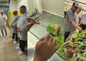 lvv InVitroPlants Minister Parmanand Sewdien van Landbouw, Veeteelt en Visserij (LVV), en de ambassadeur van Frankrijk in Suriname, Nicolas de Bouillane de Lacoste, hebben op dinsdag 1 augustus 2023 een rondleiding gekregen bij InVitroPLants Grassalco N.V. Dit gebeurde in de aanwezigheid van General Manager Philippe Dury.