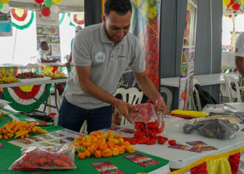 lvv samap web 1 Suriname, Cuba, Guyana en Brazilië participeren aan de Agrofest 2024. Dit evenement is op vrijdag 23 februari in Queens Park op Barbados van start gegaan. De Barbadiaanse minister van Landbouw, Indar Weir, opende de Agrofest 2024.