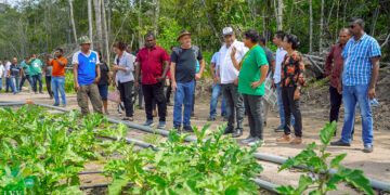 lvv2 web De agrarische transformatie van Philipusdorp in het district Para staat in de startblokken. Dinsdag 27 februari 2024 werd onder grote belangstelling aldaar dit project officieel gelanceerd door minister Parmanand Sewdien van Landbouw, Veeteelt en Visserij (LVV), in aanwezigheid van Gladys Kabalefodi, kapitein van Philipusdorp en Hermien Pavion, directeur Agrarische Ontwikkeling Binnenland van het ministerie van Regionale Ontwikkeling en Sport (ROS).