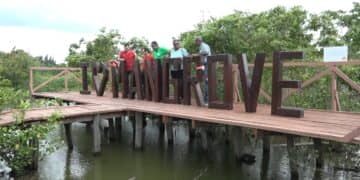 Shell levert bijdrage aan bewustwordingsproject mangrovebossen