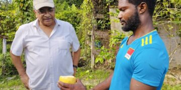 markoes aanplant Suriname Minister Parmanand Sewdien van Landbouw, Veeteelt en Visserij (LVV) heeft een oriëntatieronde gedaan op Apoera. De bewindsman heeft daarbij op 12 maart de markoesa aanplanten bezocht.