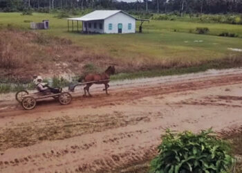 Ook minister Ramdin ontkent uitgifte grote lappen grond aan Mennonieten