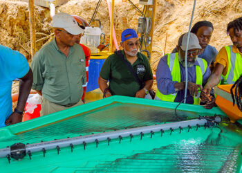 nh kwikvrij web Het "Improving Environmental Management in the Mining Sector of Suriname, with Emphasis on Artisanal and Small Scale Gold Mining"-prroject, kortweg het 'EMSAGS Project' heeft als doel het verbeteren van het beheer van ambachtelijke en kleinschalige goudwinning (ASGM) in Suriname en het stimuleren van de toepassing van milieuverantwoorde mijnbouwtechnologieën.