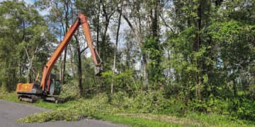 OGA verwijdert laaghangende boomtakken