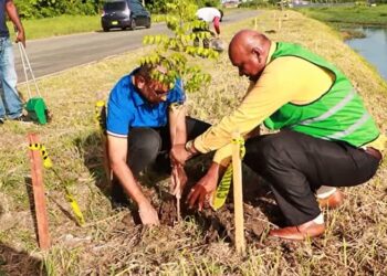 openbaar groen mall web Waarnemend directeur Inder Gangabisoensingh van Openbaar Groen en Afvalbeheer (OGA), heeft op maandag 31 juli 2023 samen met directie van de International Mall of Suriname (IMS) het startsein gegeven voor het verfraaiingsproject Ringweg.