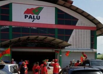 PALU: Local content alleen met radicala aanpak