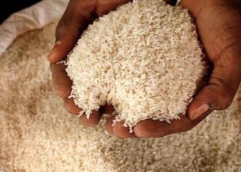 rijst 3 2 Europa heeft de controle op de import van rijst uit verschillende landen verscherpt, maar Suriname zit nog steeds goed in de markt. Dit zegt voorzitter Bhagwatpersad Ramadhin van de Vereniging Verwerkers en Rijstexporteurs (VVRE).