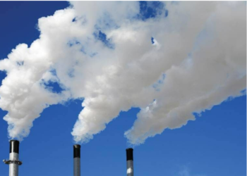 rook Van 30 november tot 12 december 2023 vindt de klimaatvergadering van de VN, de COP 28 (Conference of party’s) in Dubai plaats. In 1992 hadden 154 lidlanden van de VN het klimaatverdrag getekend in Rio de Janeiro, Brazilië.