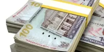 srd surinaamse dollar 1 R.M. slaagde erin een goede vriendin te overtuigen om twee leningen (SRD 72.000 en SRD 40.000) bij de bank af te sluiten, waarbij ze ook haar kostbare sieraden verpandde en het geld aan hem overhandigde.