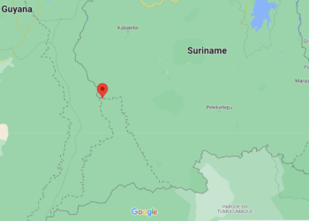 tigri 1 Al geruime tijd vinden er onder leiding van Guyana illegale activiteiten plaats in het Tigri gebied. “De Guiana defence force is actief in het Tigri gebied, wat een Surinaams gebied is. Volgens het Chaguaramas Verdrag moet dit gebied een gedemilitariseerde gebied zijn, totdat er oplossing gekomen is in deze kwestie”, zei DNA-lid Rabin Parmessar donderdag in het parlement.