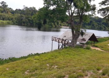 vakantiespot De grote vakantie is al bijna aangebroken. Een heleboel mensen zullen in deze periode een bezoek brengen aan de verschillende vakantieoorden te Para. Districtscommissaris (dc) Marlene Joden verwacht, zoals altijd, duizenden bezoekers en een enorme drukte in het district. “De controle op de wegen zal opgevoerd worden”, zegt de burgermoeder.